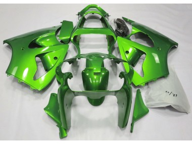 2000-2002 Metallic Green Kawasaki ZX6R Motorcycle Fairing